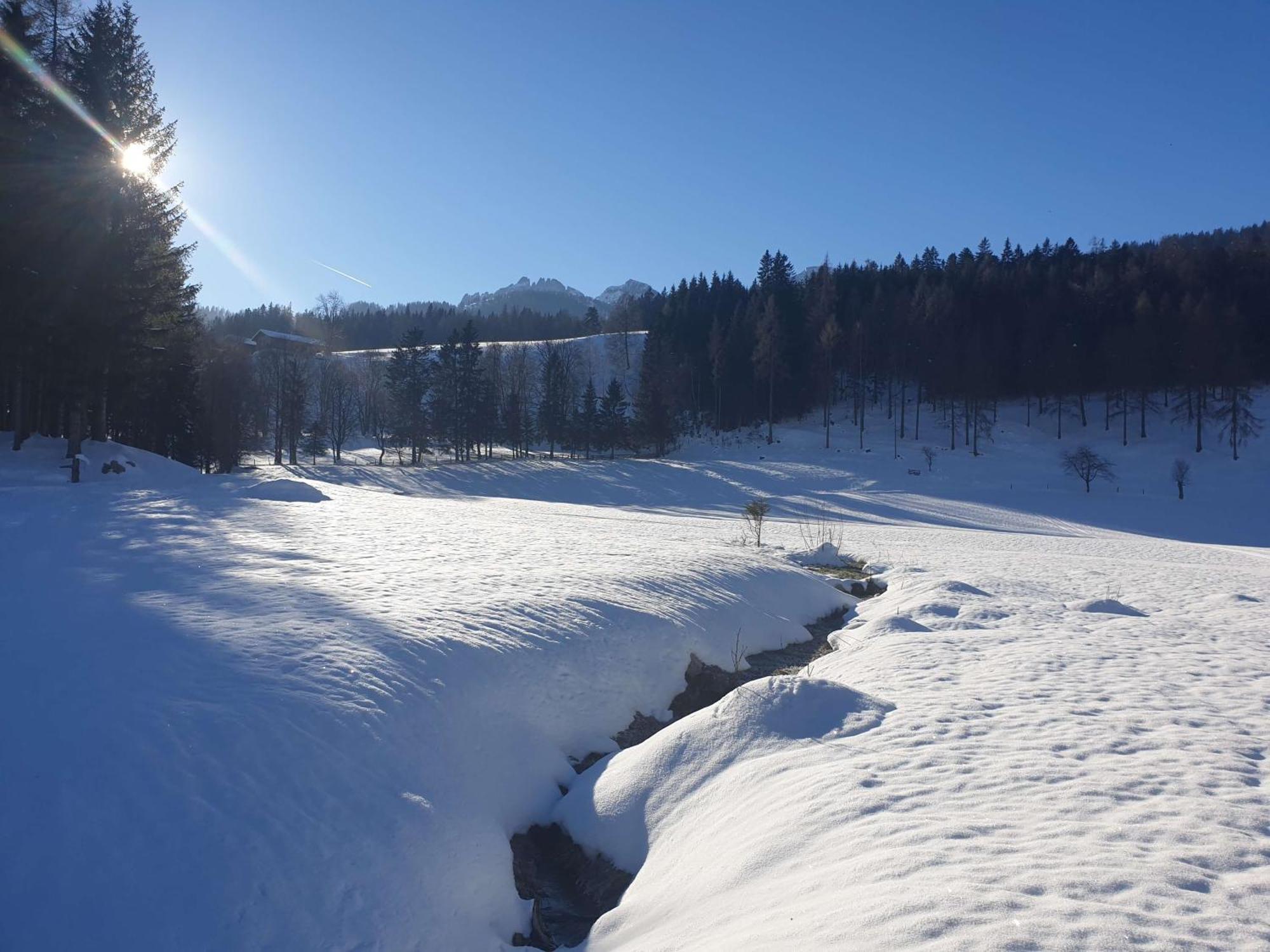 Mountain Residence Riesgut Верфен Экстерьер фото