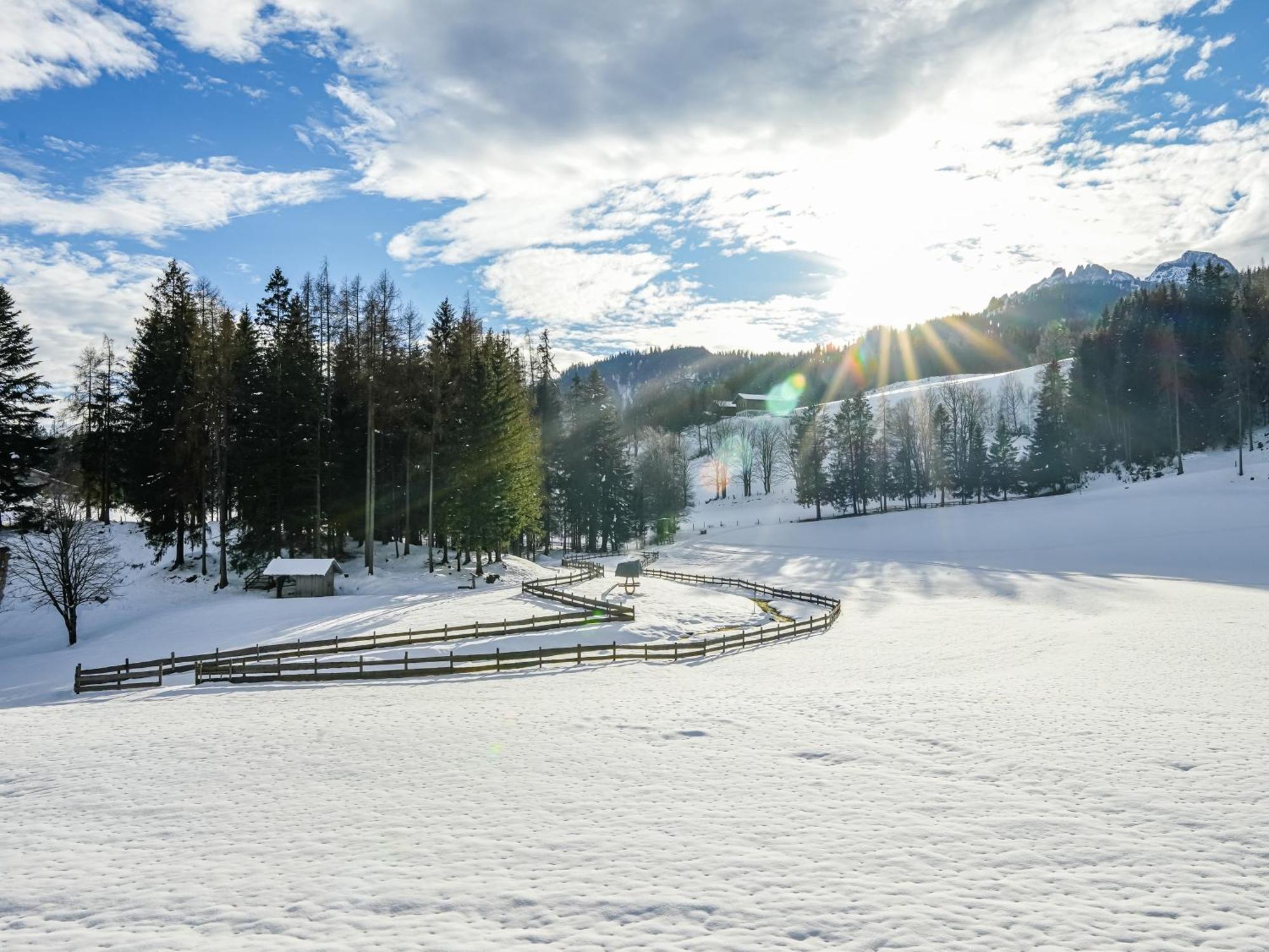 Mountain Residence Riesgut Верфен Экстерьер фото